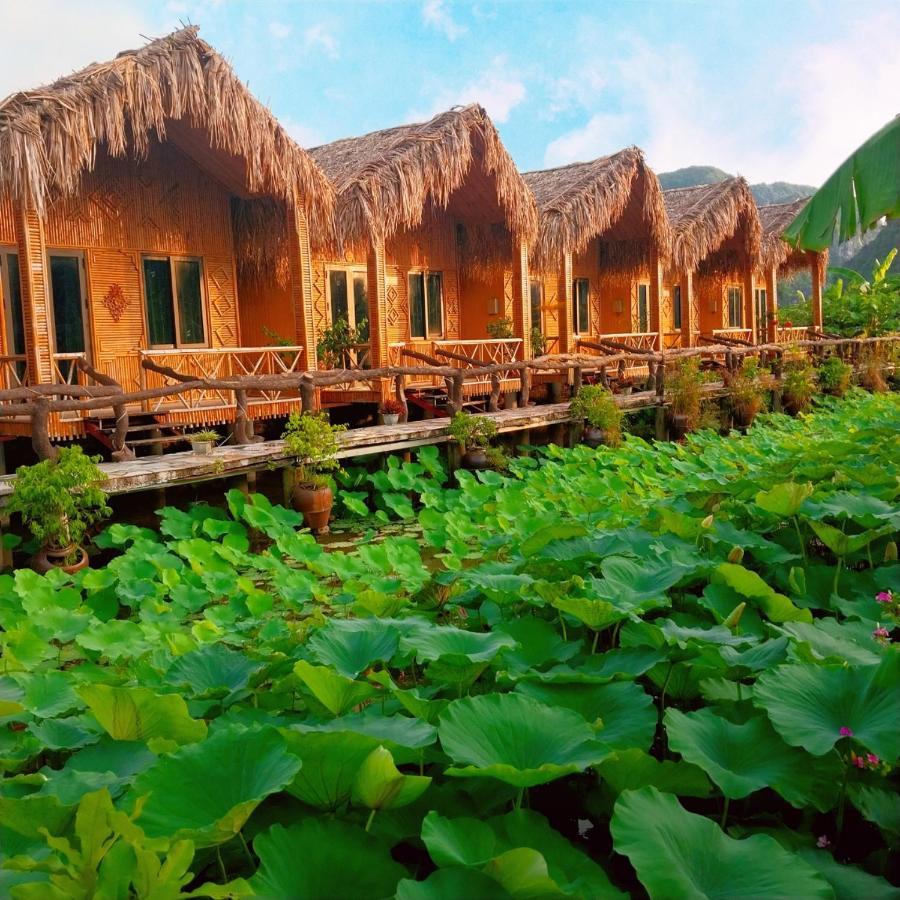 Hang Mua Lotus Homestay Ninh Binh Exterior foto